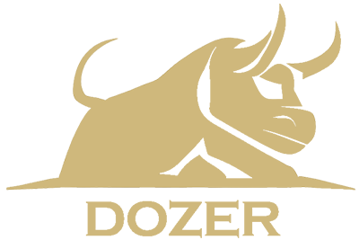 Dozer Systems – Cybersecurity Services