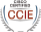 CCIE Engineer services